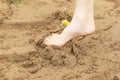 In summer, the child plays on the beach, runs barefoot on the sand. Sea tour. Children`s feet in the sand. Royalty Free Stock Photo