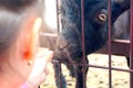 In the summer, children feed the goat in the zoo through the bars Royalty Free Stock Photo