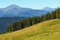 Summer mountain view Carpathian, Ukraine. Royalty Free Stock Photo