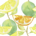 Summer Citrus background. Watercolor background. Royalty Free Stock Photo