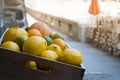 Crate of beautiful lemons, limes and grapefruits on display in Vernazza Royalty Free Stock Photo