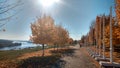 In summer, the city has an autumn park, trees, a sidewalk river, bright sun, foliage on the grass.