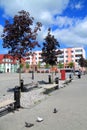 Summer city landscape at Victory Square in Gvardeysk