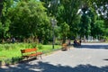 Summer city park, bright sunny day, trees with shadows and green grass odessa Royalty Free Stock Photo
