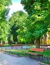 Summer city park at midday, bright sunny day, trees with shadows and green grass Royalty Free Stock Photo