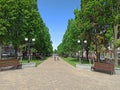 Summer city park with pathway benches and green trees Royalty Free Stock Photo