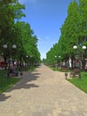 Summer city park with pathway benches and green trees Royalty Free Stock Photo