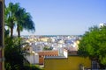 Summer city view, white houses, palm trees, Spain