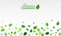 Summer clearance concept with scattered green 3d leaves on white transparent background. Vector illustration. All isolated and