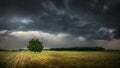 Summer cloude storm Royalty Free Stock Photo