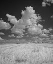 Summer clouds over fields Royalty Free Stock Photo