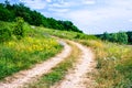 Summer hilly green meadow Royalty Free Stock Photo