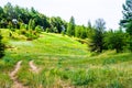 Summer large hilly green meadow Royalty Free Stock Photo