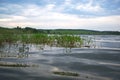 Summer cloudy day on a pond landscape.