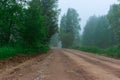 Summer cloudy morning, Road forest, fog trees