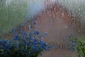 Summer cloudy rainy still life with flowers on the window. Forget-me-nots blue flowers on the window, raindrops on the window