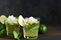 Summer cocktail. Classic summer drink - mojito in a glass on a dark background