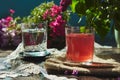Summer cocktail, compote and glass of water among spring flowers in the garden. Aesthetic picnic Royalty Free Stock Photo