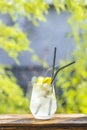 Summer cocktail with green apple and ice on the white table near window in the sunny summertime. Selective focus image with copy Royalty Free Stock Photo