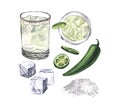 Summer cocktail set, spicy lime margarita in a short glass and salt, ice, jalapeno. Watercolor hand-drawn illustration Royalty Free Stock Photo