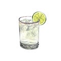 Summer cocktail, spicy lime margarita in a short glass and salt. Watercolor hand-drawn illustration isolated on white Royalty Free Stock Photo