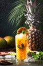 Summer cocktail with vodka, pineapple juice, mango, ice. Long drink or cold mocktail. Frozen splashes and flying drops. Tropical Royalty Free Stock Photo