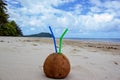 summer coconut cocktail with 2 straws on Cape Tribulation in Daintree National Park in the far tropical north of Queensland, Royalty Free Stock Photo