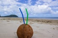 summer coconut cocktail with 2 straws on Cape Tribulation in Daintree National Park in the far tropical north of Queensland, Royalty Free Stock Photo