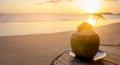 Summer coconut fruit is located by the sea beach in the evening time the sun is falling the light is golden orange