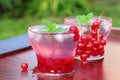 Coctails with red currant and mint