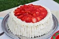 Summer coffe party with strawberry cake