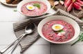 Summer cold beetroot soup with sour cream and egg Royalty Free Stock Photo