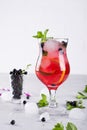 Summer cold drink with blueberry, mint lemon and ice Royalty Free Stock Photo