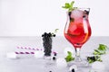 Summer cold drink with blueberry, mint lemon and ice Royalty Free Stock Photo