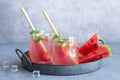 Summer cold drink with watermelon, mint leaves and ice on a vintage tray. Two glasses with bamboo eco straws Royalty Free Stock Photo