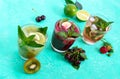 Summer cold drinks with fresh fruits, berries and mint. Royalty Free Stock Photo