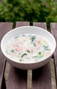 Summer cold russian soup