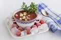 Summer cold tomato soup gazpacho. Ice and frozen tomatoes on a plate. Blue checkered napkin, white background Royalty Free Stock Photo