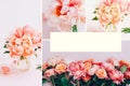 Summer collage with peonies Royalty Free Stock Photo