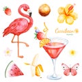 Summer collection with exotic fruits, flamingo