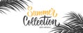 Summer Collection promotional banner. Summertime seasonal new arrivals background with hand lettering and palm leaves.