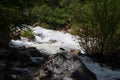 Summer in Colorado: Cascade Falls on Chalk Creek