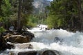 Summer in Colorado: Looking Upstream as Chalk Creek Crashes Down Cascade Falls