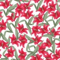 Red lily bright background. Summer colors seamless pattern