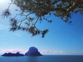 Summer comes, ready for the holidays in the unspoiled nature of the Balearic islands. to discover ibiza and its wonders, like the