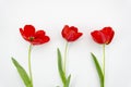 Summer is coming concept with a top view Poppy flowers. Flat lay on white background