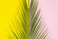 Summer is coming pop art concept. Top view palm leaf on yellow and light pink background