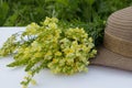 Summer composition. A bouquet of wild flowers snapdragon and women`s sunhat.