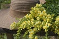 Summer composition. A bouquet of wild flowers snapdragon and women`s sunhat.