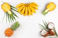Summer composition with exotic fruits on white background